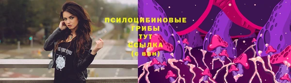 мдма Дмитриев